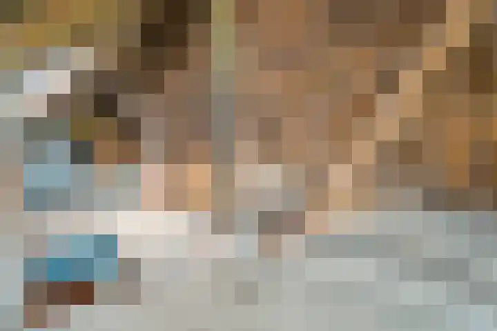 Dokter Larijweg 171 Ruinerwold thumbnail 39