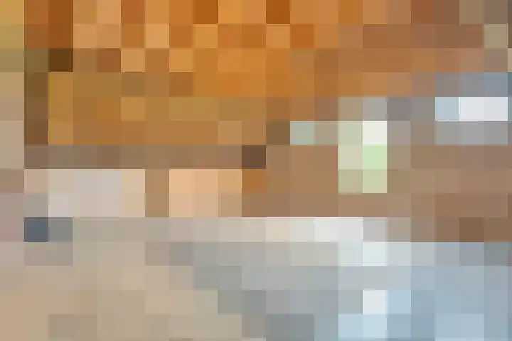 Dokter Larijweg 171 Ruinerwold thumbnail 41