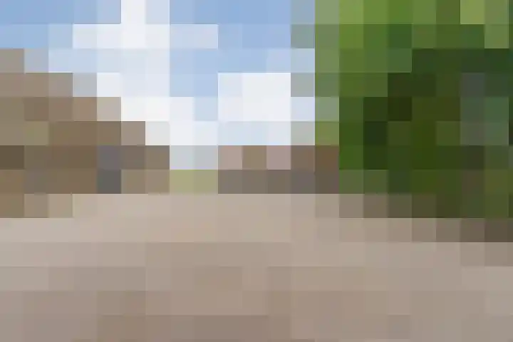 Dokter Larijweg 171 Ruinerwold thumbnail 44