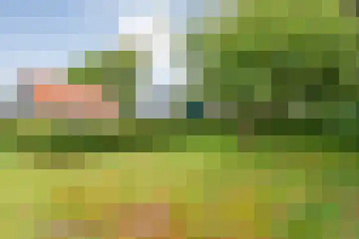 Dokter Larijweg 171 Ruinerwold thumbnail 45