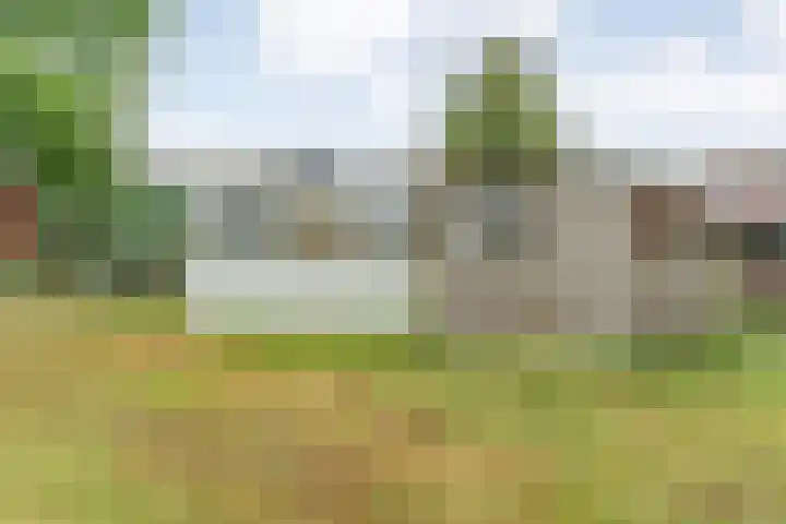 Dokter Larijweg 171 Ruinerwold thumbnail 46