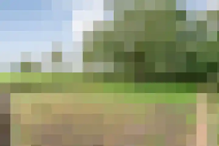 Dokter Larijweg 171 Ruinerwold thumbnail 49