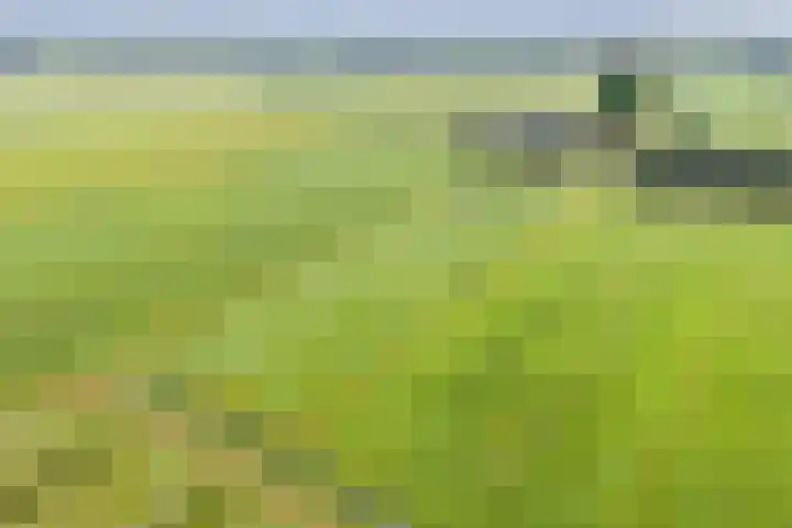 Dokter Larijweg 171 Ruinerwold thumbnail 5