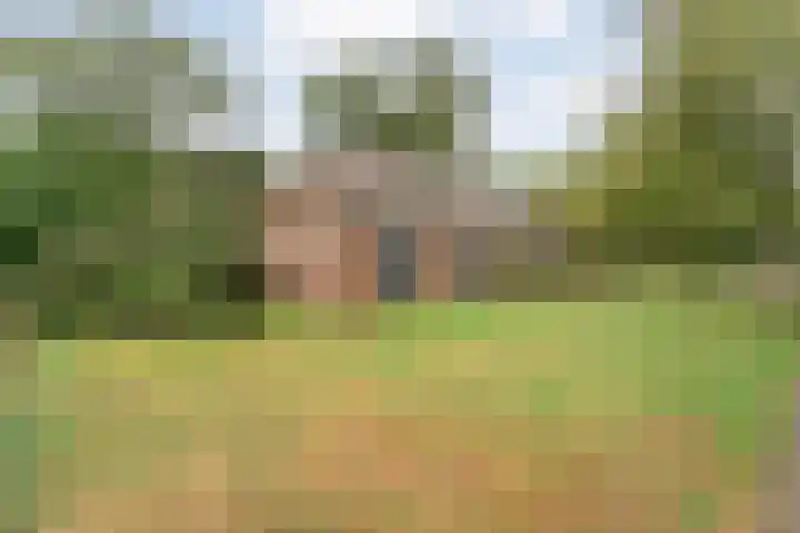 Dokter Larijweg 171 Ruinerwold thumbnail 50