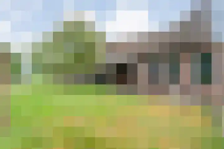 Dokter Larijweg 171 Ruinerwold thumbnail 51