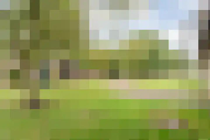 Dokter Larijweg 171 Ruinerwold thumbnail 54