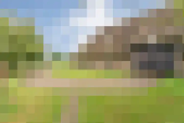 Dokter Larijweg 171 Ruinerwold thumbnail 55