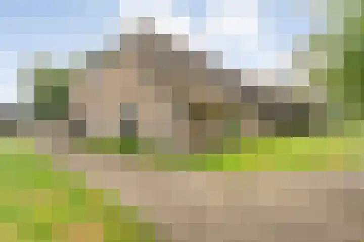 Dokter Larijweg 171 Ruinerwold thumbnail 56