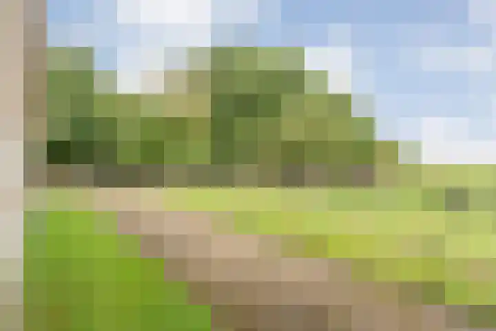Dokter Larijweg 171 Ruinerwold thumbnail 57