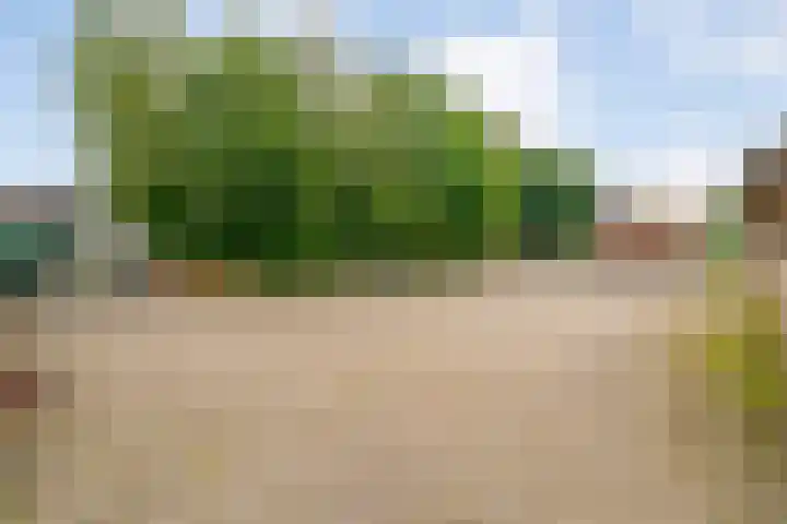 Dokter Larijweg 171 Ruinerwold thumbnail 58