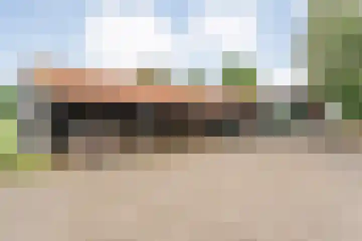 Dokter Larijweg 171 Ruinerwold thumbnail 59