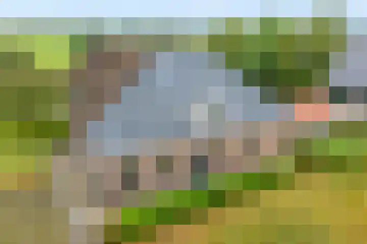 Dokter Larijweg 171 Ruinerwold thumbnail 6