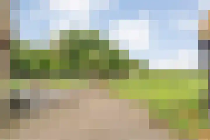 Dokter Larijweg 171 Ruinerwold thumbnail 60