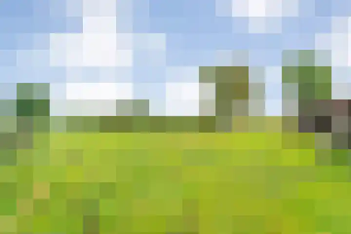 Dokter Larijweg 171 Ruinerwold thumbnail 61