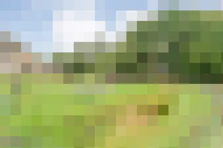 Dokter Larijweg 171 Ruinerwold thumbnail 62