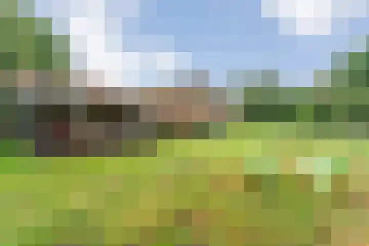 Dokter Larijweg 171 Ruinerwold thumbnail 63