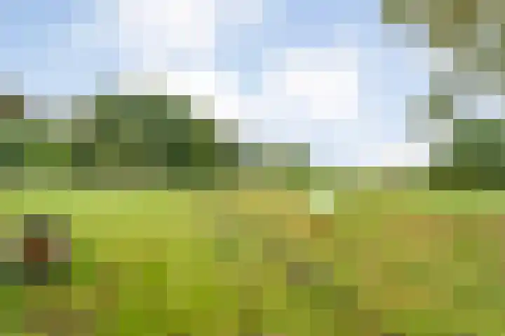 Dokter Larijweg 171 Ruinerwold thumbnail 64