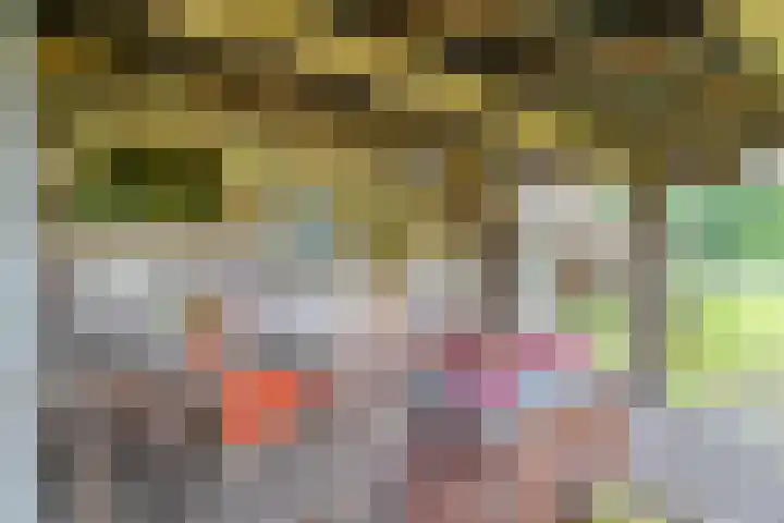 Dokter Larijweg 171 Ruinerwold thumbnail 65