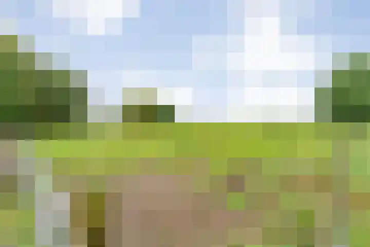 Dokter Larijweg 171 Ruinerwold thumbnail 67