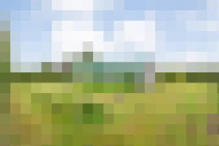 Dokter Larijweg 171 Ruinerwold thumbnail 68