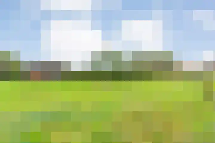 Dokter Larijweg 171 Ruinerwold thumbnail 69