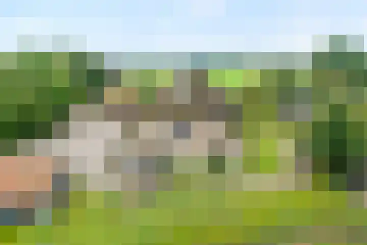 Dokter Larijweg 171 Ruinerwold thumbnail 7