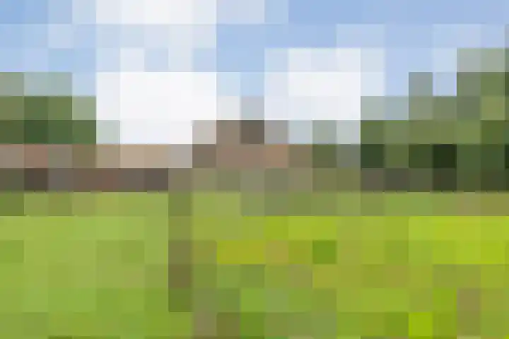 Dokter Larijweg 171 Ruinerwold thumbnail 70