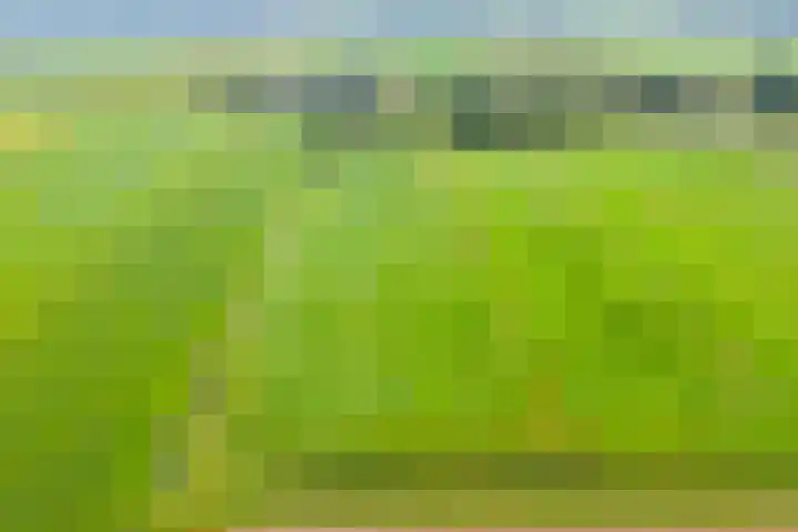 Dokter Larijweg 171 Ruinerwold thumbnail 71