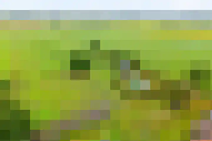 Dokter Larijweg 171 Ruinerwold thumbnail 8