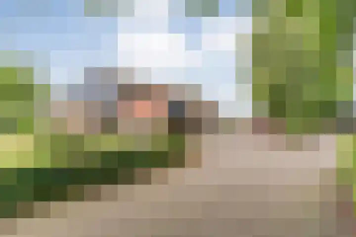 Dokter Larijweg 171 Ruinerwold thumbnail 9