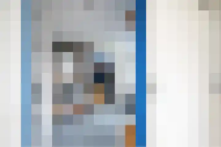 Dokter Larijweg 30 Ruinerwold thumbnail 11