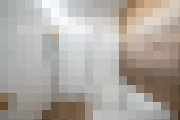 Dokter Larijweg 30 Ruinerwold thumbnail 13
