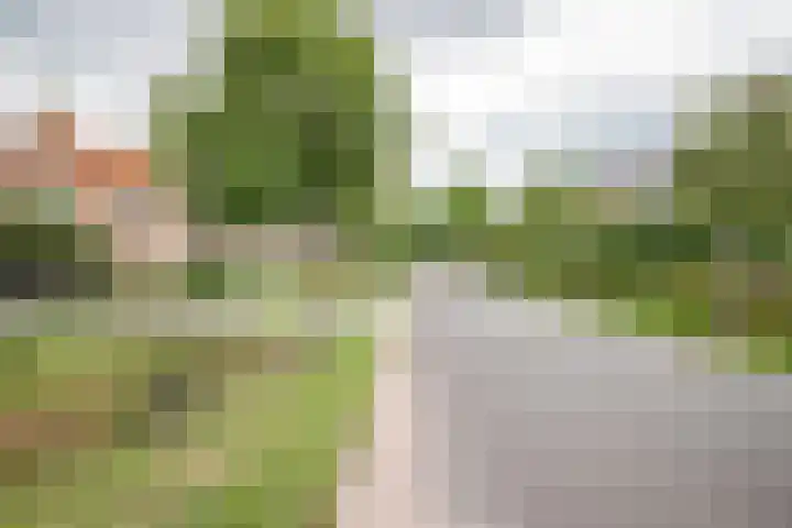 Dokter Larijweg 30 Ruinerwold thumbnail 29