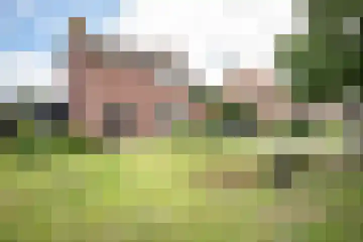 Dokter Larijweg 30 Ruinerwold foto 3