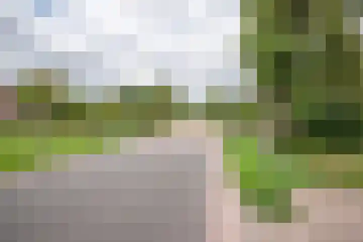 Dokter Larijweg 30 Ruinerwold thumbnail 30