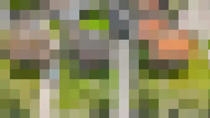 Dokter Larijweg 30 Ruinerwold thumbnail 31