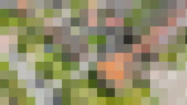 Dokter Larijweg 30 Ruinerwold thumbnail 32