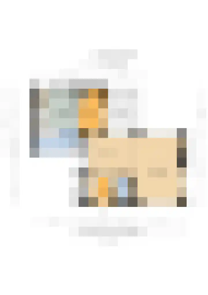 Dokter Larijweg 30 Ruinerwold thumbnail 33