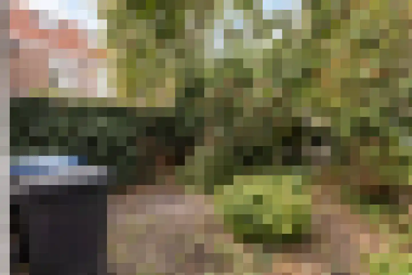 Dokter Lemmensstraat 3 Roosendaal thumbnail 22