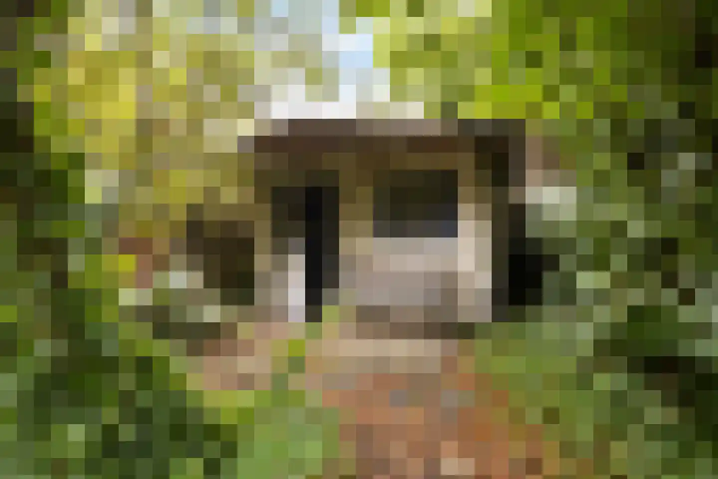Dokter Lemmensstraat 3 Roosendaal thumbnail 23