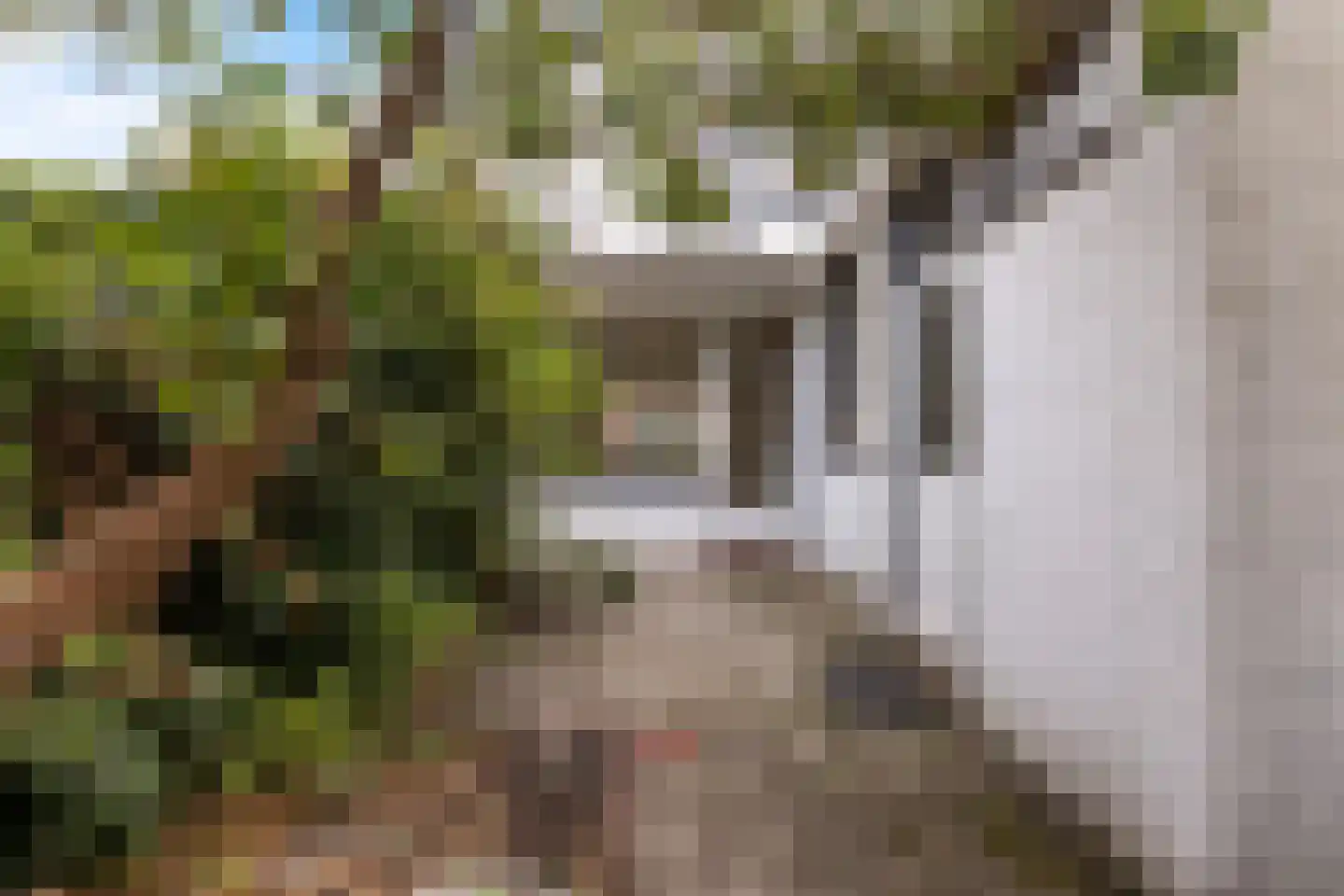 Dokter Lemmensstraat 3 Roosendaal thumbnail 25