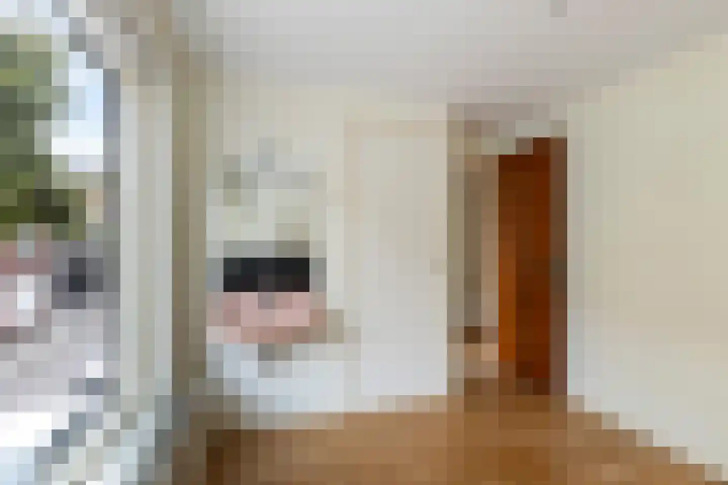 Dokter Lemmensstraat 3 Roosendaal thumbnail 39
