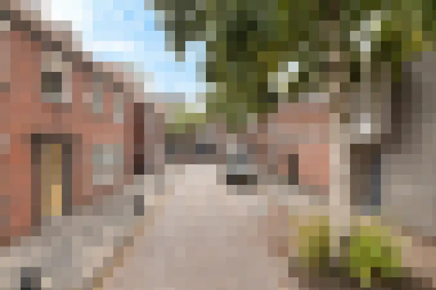 Dokter Lemmensstraat 3 Roosendaal thumbnail 4