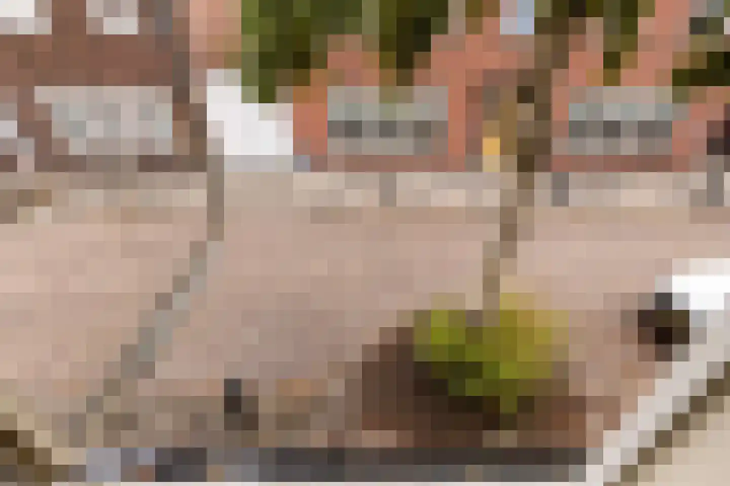 Dokter Lemmensstraat 3 Roosendaal thumbnail 40
