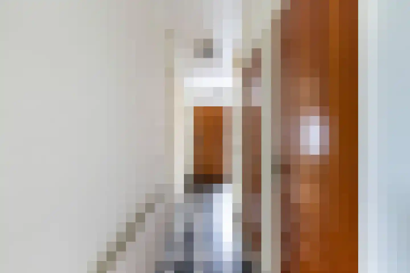 Dokter Lemmensstraat 3 Roosendaal thumbnail 8