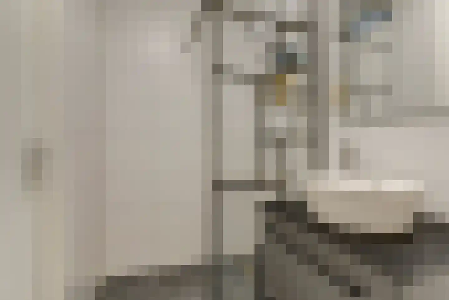 Dokter Leo van der Laanstraat 42 Huissen thumbnail 22