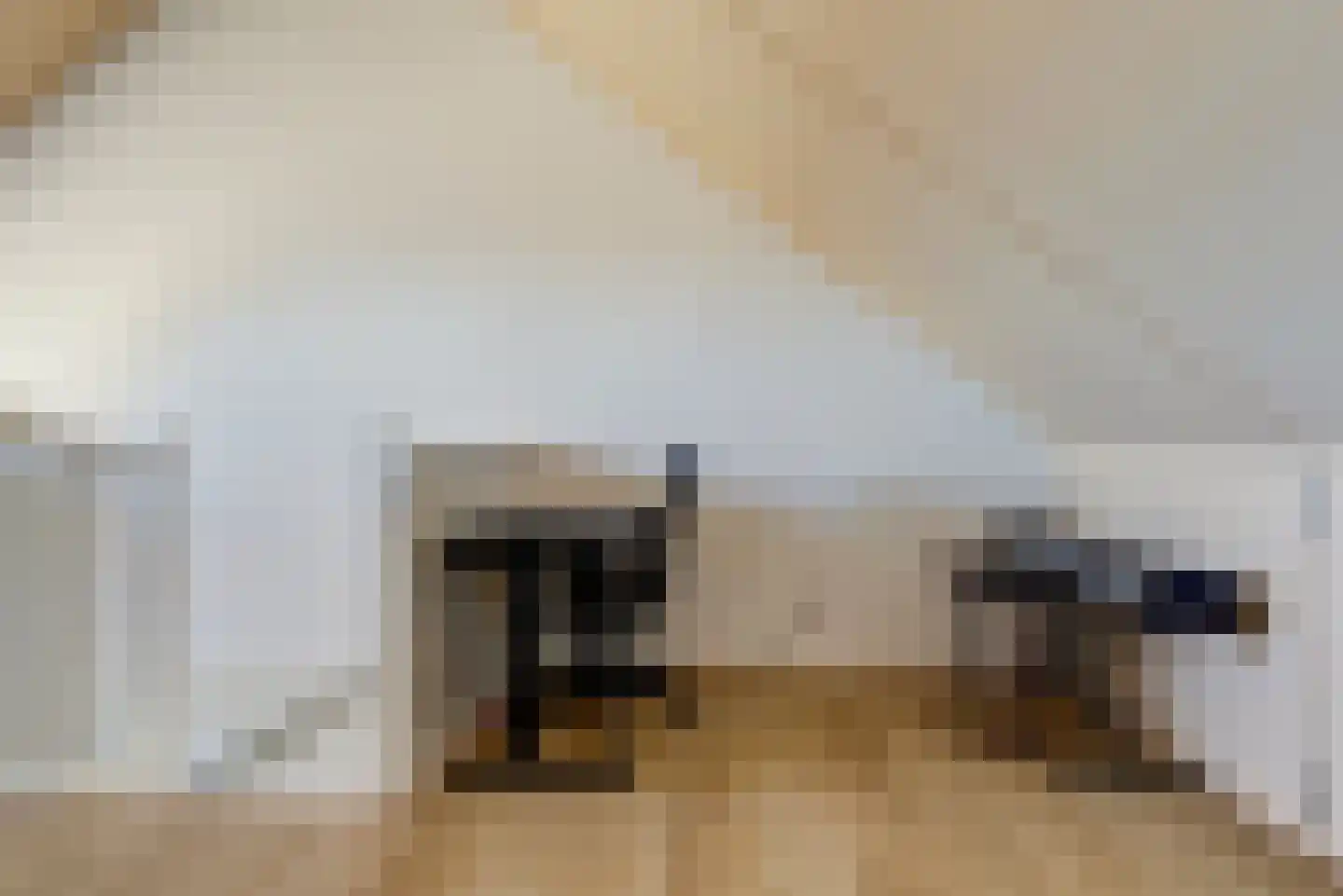 Dokter Leo van der Laanstraat 42 Huissen thumbnail 28