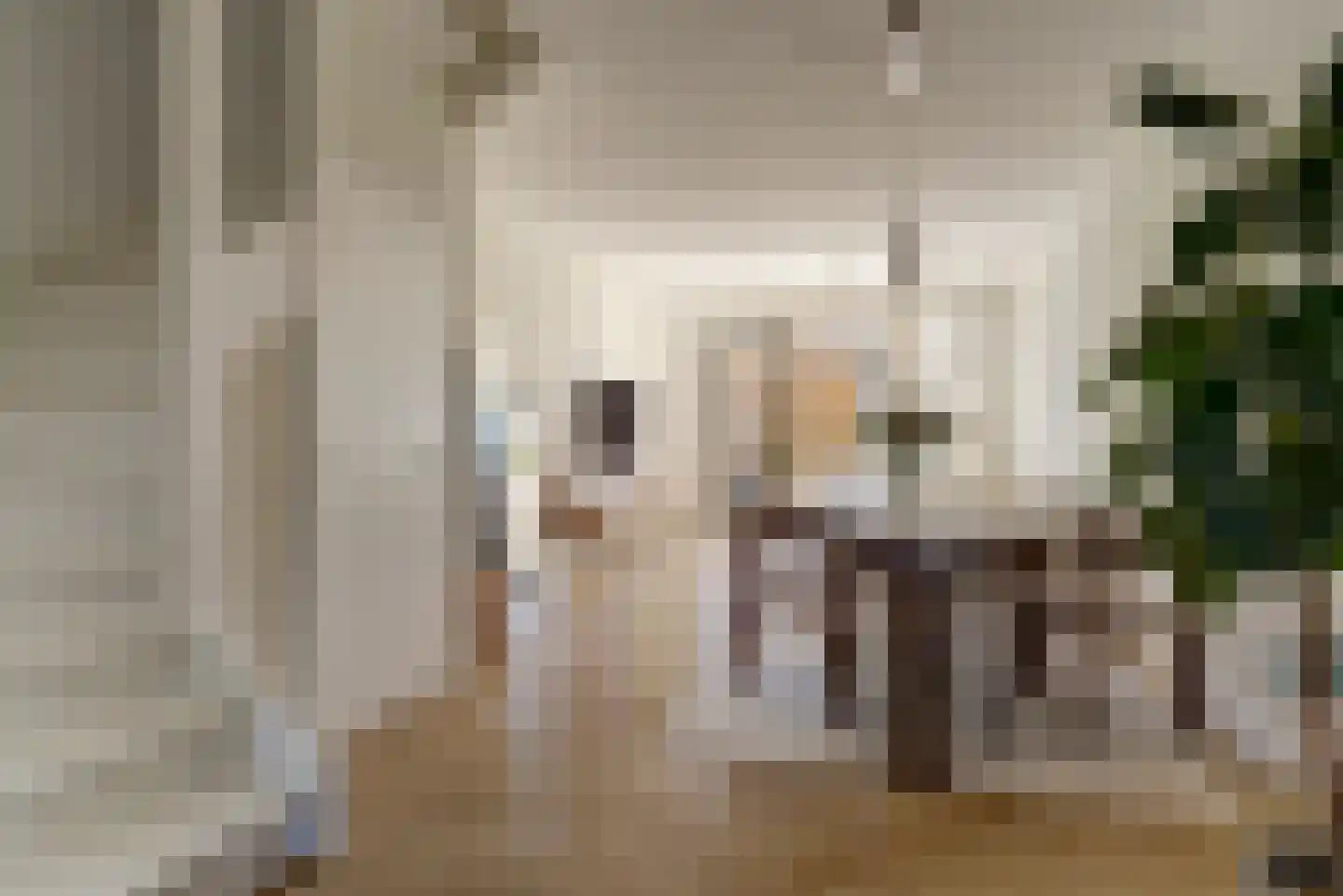 Dokter Leo van der Laanstraat 42 Huissen thumbnail 4