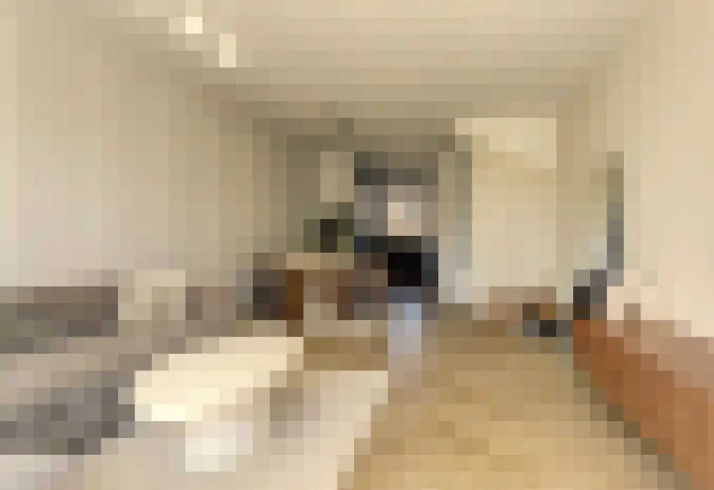 Dokter Leo van der Laanstraat 42 Huissen thumbnail 7