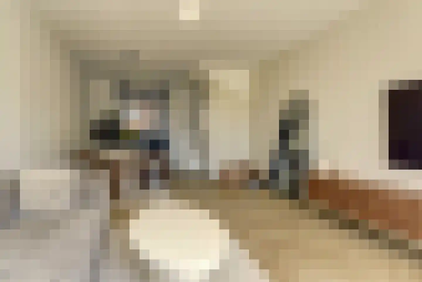 Dokter Leo van der Laanstraat 42 Huissen thumbnail 8